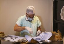 Castramóvel terá atendimentos em diferentes bairros de Pouso Alegre durante o mês de maio