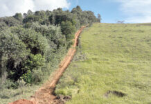 Estiagem: Prefeitura inicia manutenção dos aceiros para proteger o Horto Florestal