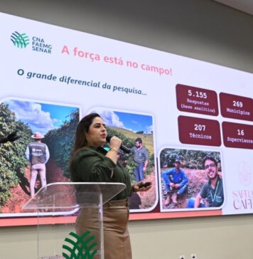 Minas Gerais deve alcançar 33,4 milhões de sacas de café em 2026
