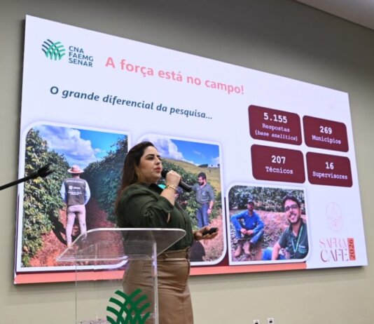 Minas Gerais deve alcançar 33,4 milhões de sacas de café em 2026